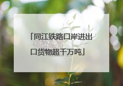 同江铁路口岸进出口货物超千万吨