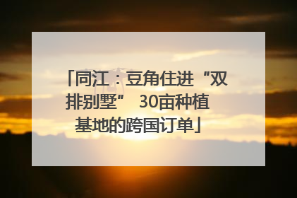 同江：豆角住进“双排别墅” 30亩种植基地的跨国订单