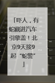 吓人，有蛇藏进汽车引擎盖！北京9天接9起“蛇警”