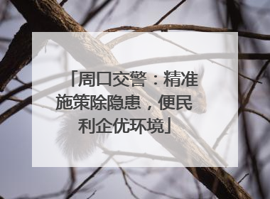 周口交警：精准施策除隐患，便民利企优环境