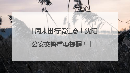 周末出行请注意！沈阳公安交警重要提醒！