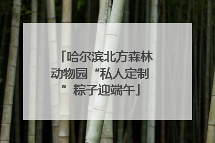 哈尔滨北方森林动物园“私人定制”粽子迎端午