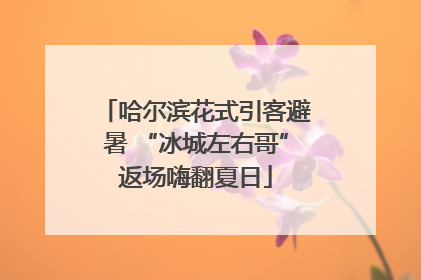 哈尔滨花式引客避暑 “冰城左右哥”返场嗨翻夏日