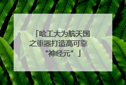 哈工大为航天国之重器打造高可靠“神经元”