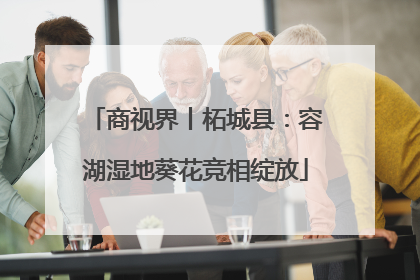 商视界丨柘城县：容湖湿地葵花竞相绽放
