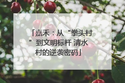 嘉禾：从“拳头村”到文明标杆 清水村的逆袭密码