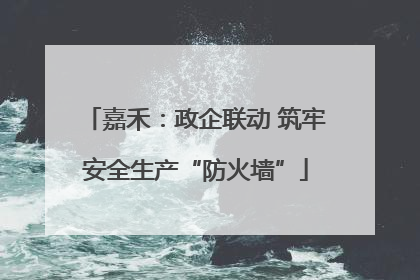 嘉禾：政企联动 筑牢安全生产“防火墙”