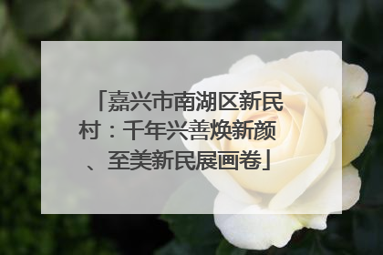 嘉兴市南湖区新民村：千年兴善焕新颜、至美新民展画卷
