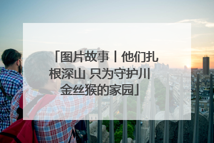 图片故事丨他们扎根深山 只为守护川金丝猴的家园