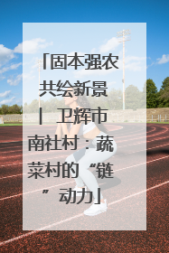 固本强农 共绘新景 ︳卫辉市南社村：蔬菜村的“链”动力