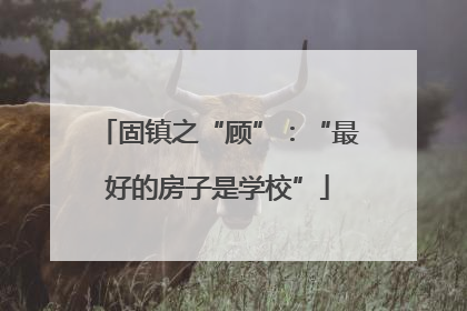 固镇之“顾”：“最好的房子是学校”