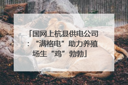 国网上杭县供电公司：“满格电”助力养殖场生“鸡”勃勃