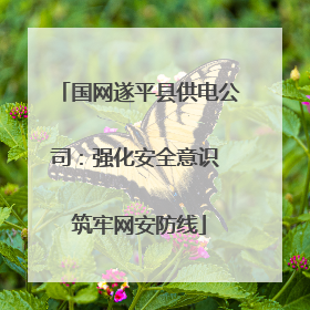 国网遂平县供电公司：强化安全意识 筑牢网安防线