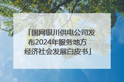 国网银川供电公司发布2024年服务地方经济社会发展白皮书