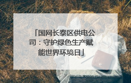 国网长泰区供电公司：守护绿色生产赋能世界环境日