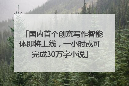 国内首个创意写作智能体即将上线，一小时或可完成30万字小说