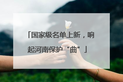国家级名单上新，响起河南保护“曲”