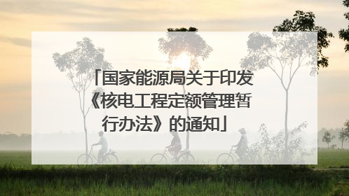 国家能源局关于印发《核电工程定额管理暂行办法》的通知