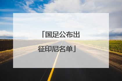 国足公布出征印尼名单