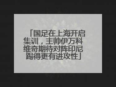 国足在上海开启集训，主帅伊万科维奇期待对阵印尼踢得更有进攻性