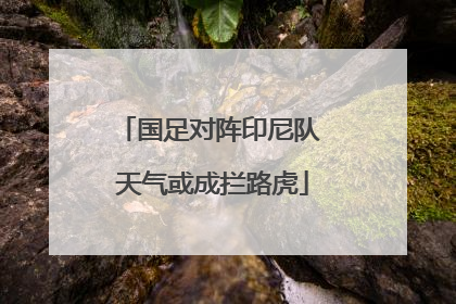 国足对阵印尼队 天气或成拦路虎