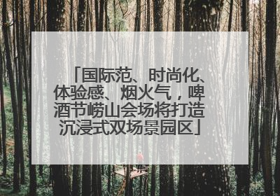 国际范、时尚化、体验感、烟火气，啤酒节崂山会场将打造沉浸式双场景园区