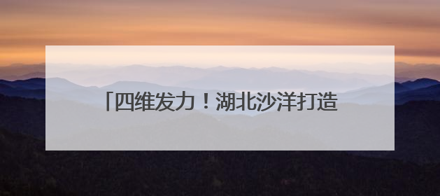 四维发力！湖北沙洋打造法治化营商环境新标杆