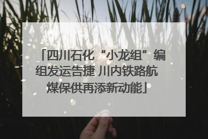 四川石化“小龙组”编组发运告捷 川内铁路航煤保供再添新动能