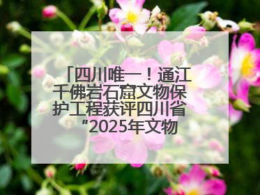 四川唯一！通江千佛岩石窟文物保护工程获评四川省“2025年文物保护优质工程”