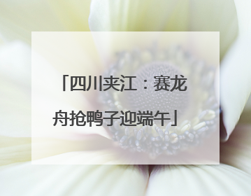 四川夹江：赛龙舟抢鸭子迎端午