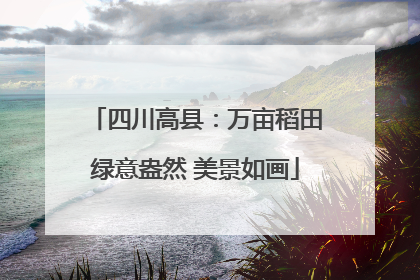四川高县：万亩稻田绿意盎然 美景如画