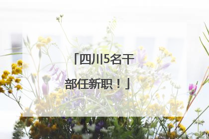 四川5名干部任新职！
