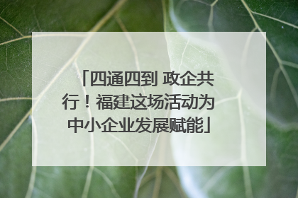 四通四到 政企共行！福建这场活动为中小企业发展赋能