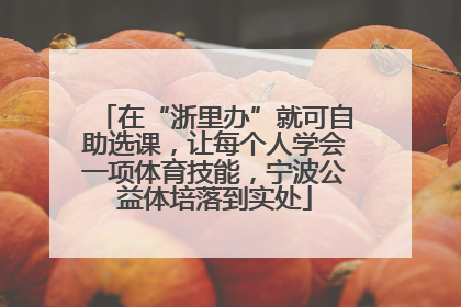 在“浙里办”就可自助选课，让每个人学会一项体育技能，宁波公益体培落到实处