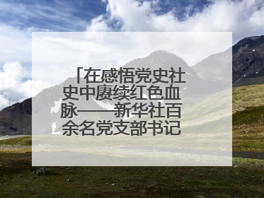 在感悟党史社史中赓续红色血脉——新华社百余名党支部书记参加示范培训