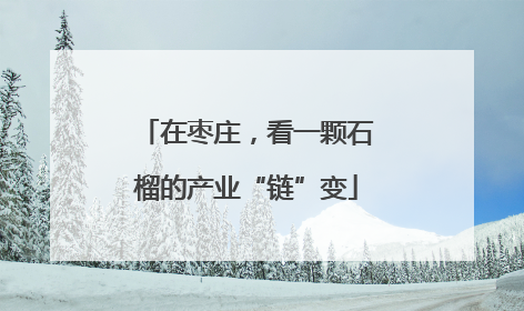 在枣庄，看一颗石榴的产业“链”变