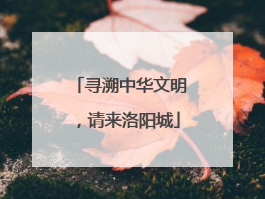 寻溯中华文明，请来洛阳城
