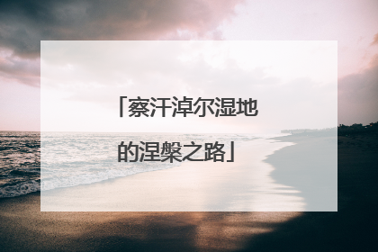 察汗淖尔湿地的涅槃之路