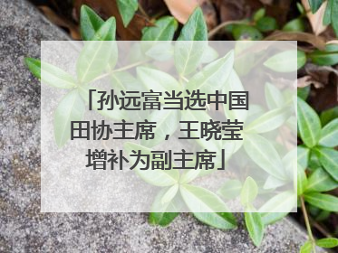孙远富当选中国田协主席，王晓莹增补为副主席