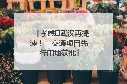 孝感⇋武汉再提速！一交通项目先行用地获批
