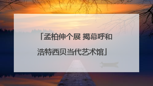 孟柏伸个展 揭幕呼和浩特西贝当代艺术馆