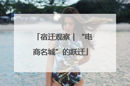 宿迁观察｜“电商名城”的跃迁