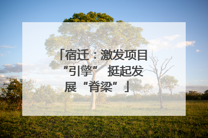 宿迁：激发项目“引擎” 挺起发展“脊梁”