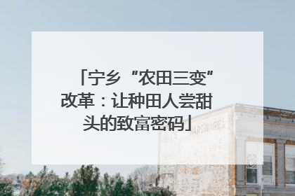 宁乡“农田三变”改革：让种田人尝甜头的致富密码