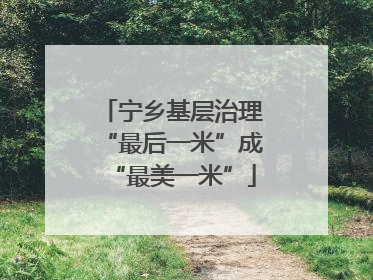 宁乡基层治理“最后一米”成“最美一米”