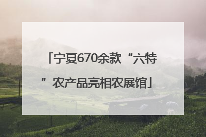 宁夏670余款“六特”农产品亮相农展馆