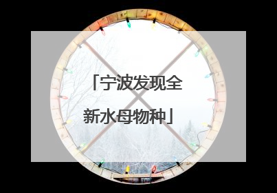 宁波发现全新水母物种