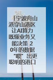 宁波舟山港穿山港区让AI算力既懂业务又能决策 20年的数据“喂”出更聪明的港口