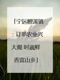 宁远鲤溪镇：订单农业兴大观 时蔬鲜香富山乡