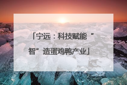 宁远：科技赋能“智”造蛋鸡鸭产业